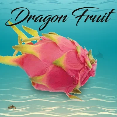 Dragon Fruit - Northwest Vapors
