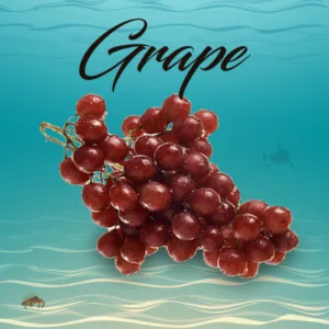 Grape