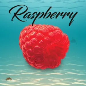 Raspberry