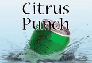 Citrus Punch Silver Cloud